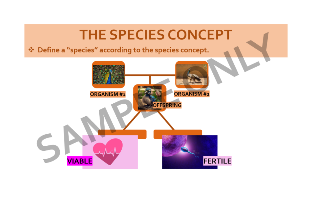 Sample PowerPoint slide titled 'The Species Concept'